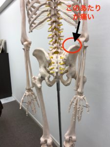 が 右 の 痛い 骨盤 【右腰の痛み】右側だけ腰が痛い人必見！その原因とは？！